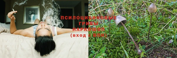 бутират Козловка
