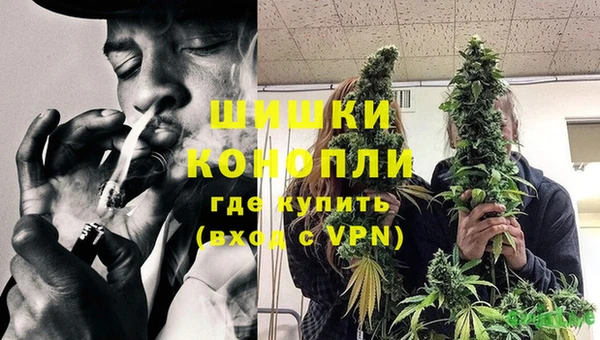 гидропоника Кодинск
