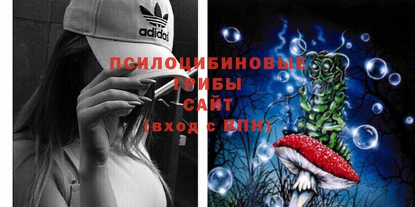 бутират Козловка