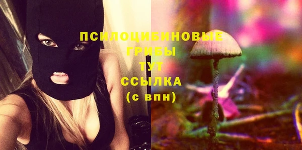 гидропоника Кодинск